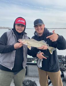 Fish-Species