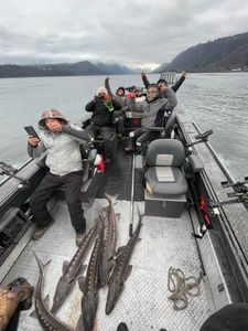Full set of Keeper Sturgeon going home! 