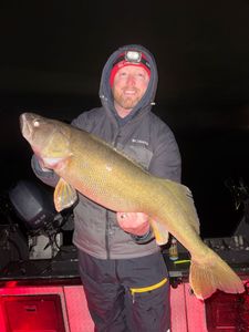 Fish-Species