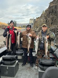 Fish-Species