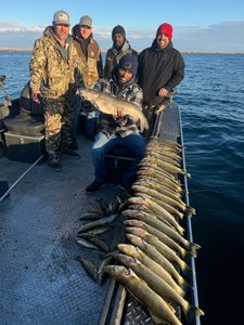Fish-Species