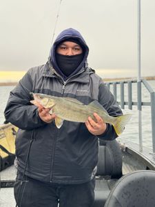 Fish-Species
