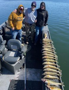Fish-Species