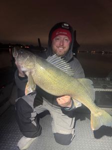 Fish-Species