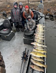 Fish-Species