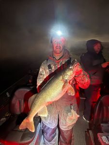 Fish-Species
