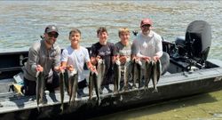 4 bluefish and great barracuda caught fishing in Pasco