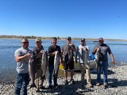5 big fish caught at Pasco location