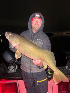 Fish-Species