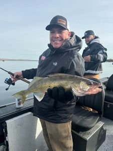 Fish-Species