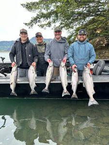 5 chinook salmon and rainbow trout in fishing catch in WA