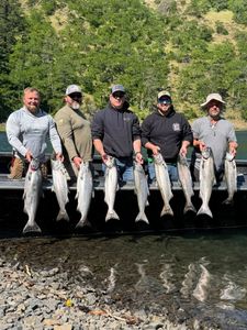 9 coho salmon, chinook salmon caught while fishing in WA