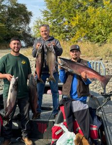 Five chinook salmon and coho salmon, fishing in Washington