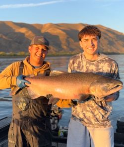 Fish-Species