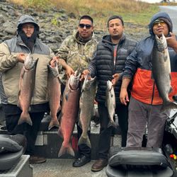 Fish-Species