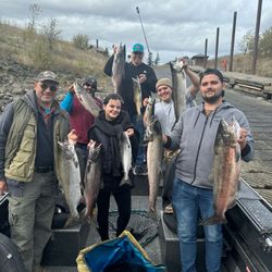 Fish-Species