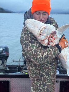 Fishing in WA, best catch
