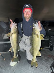 Fish-Species