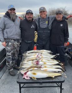 4 people fishing in WA