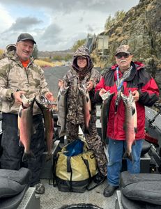 5 big fish caught in WA while fishing
