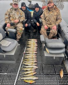 Three fish caught fishing in WA