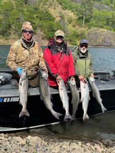 A group of 6 rainbow trout and chinook salmon caught while fishing in Pasco