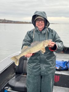 Sauger fish caught in Pasco during fishing