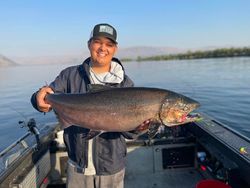 1 pink salmon fish caught while fishing in WA