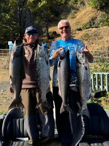 4 sea trout caught while fishing in WA