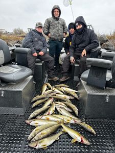 two people fishing with rods in pasco