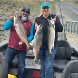 Three rainbow trout caught in Pasco