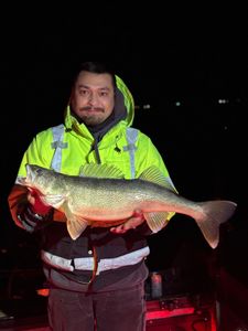 A 24-inch Walleye caught while fishing in Pasco