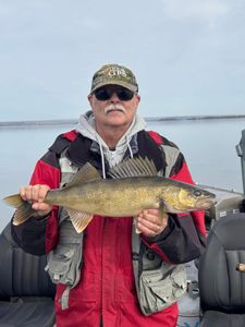 Walleye fish caught in WA