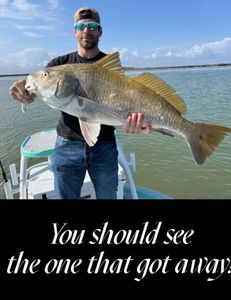Book today and you will be well on your way to writing your own BIG FISH STORY!