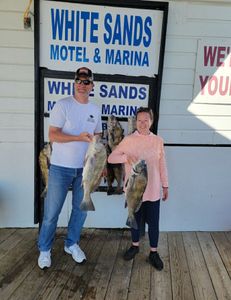 3 black drum fish caught on fishing trip in TX