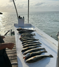 Best fishing trip at South Padre Island