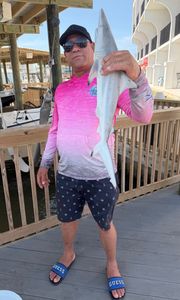 Blacktip shark caught fishing at South Padre Island TX