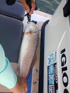 Fishing in TX