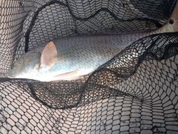 Fishing in Texas