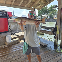 A redfish caught during a fishing trip in TX