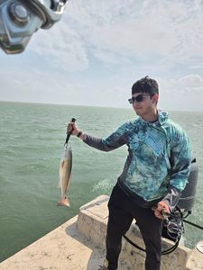 Redfish caught while fishing in TX