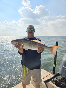 Redfish caught in South Padre Island