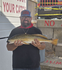 Redfish caught in TX