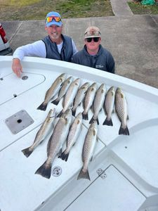 9 spotted weakfish caught fishing in NC