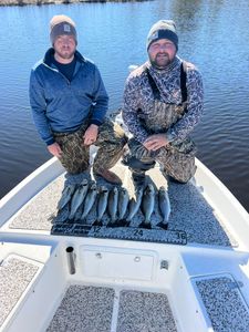 Spotted Weakfish caught during fishing trip in New Bern
