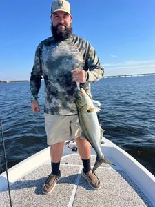 Fisherman catching a bluefish in North Carolina