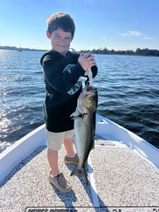 Single bluefish caught while fishing in NC