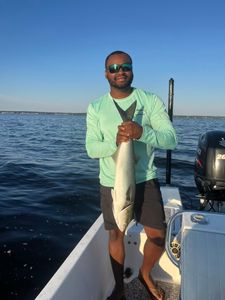 Bluefish caught while fishing in New Bern