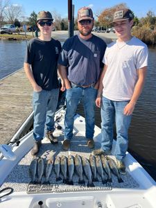 Two sea trout and spotted weakfish in New Bern, North Carolina