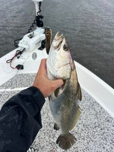 Fishing adventure in NC
